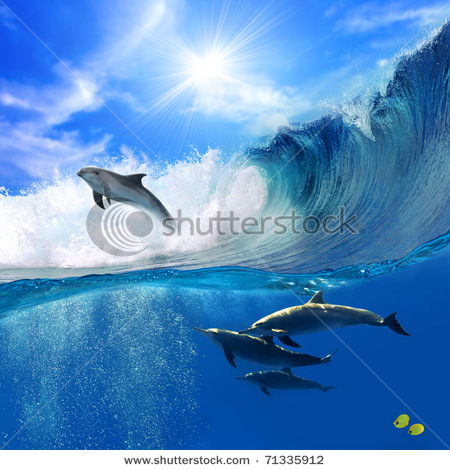 Sealife