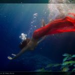 Photo by Willyam Bradberry