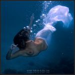 mermaid-anna-02