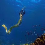 mermaid-anna-04