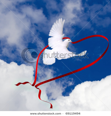 White dove with red ribbon heart