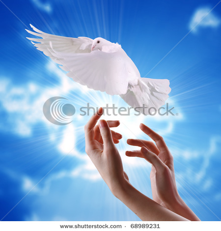 White Dove flying away to be free
