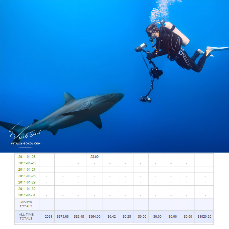 Diver with photo equipment and grey reef shark in front of each other