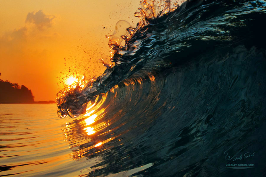 beautiful surfing wave at sunset time with the sun