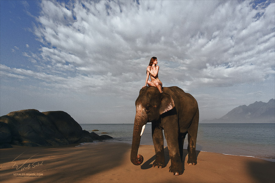 Beautiful naked model riding on elephant by Vitaliy Sokol