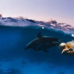 A Blonde diving with wild dolphins