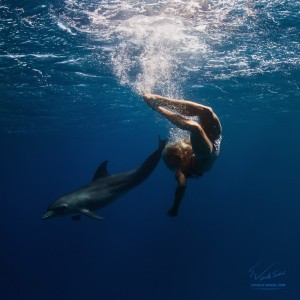 Diving with wild dolphins. Red sea. People and marine animals