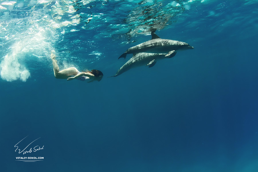 a pair of dolphins playing with beautiful girl underwater