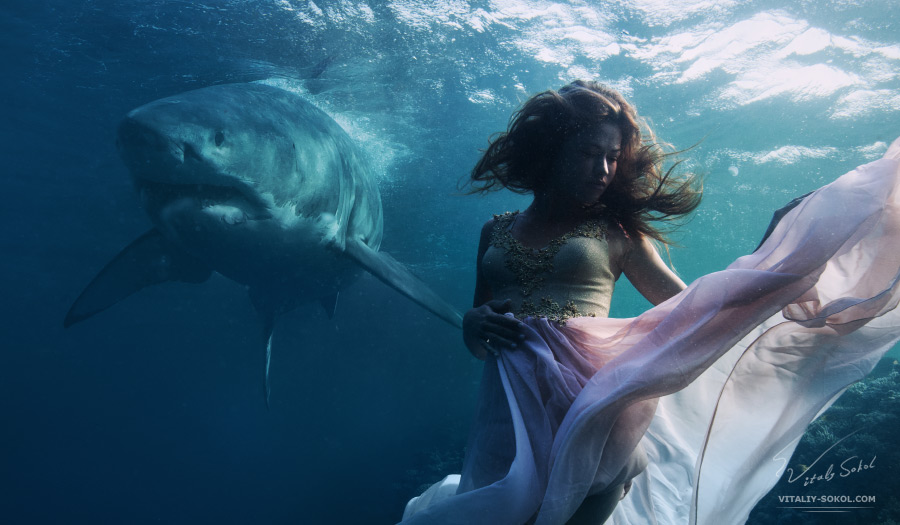 Great White Shark and fashion model underwater