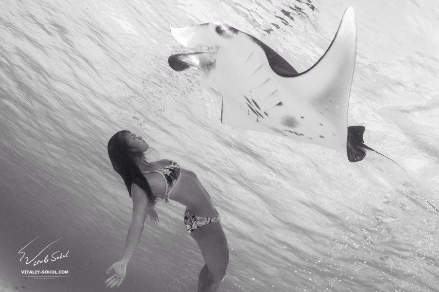 Mantaray and Beautiful woman together looking to each other. Underwater adventures by Vitaliy Sokol