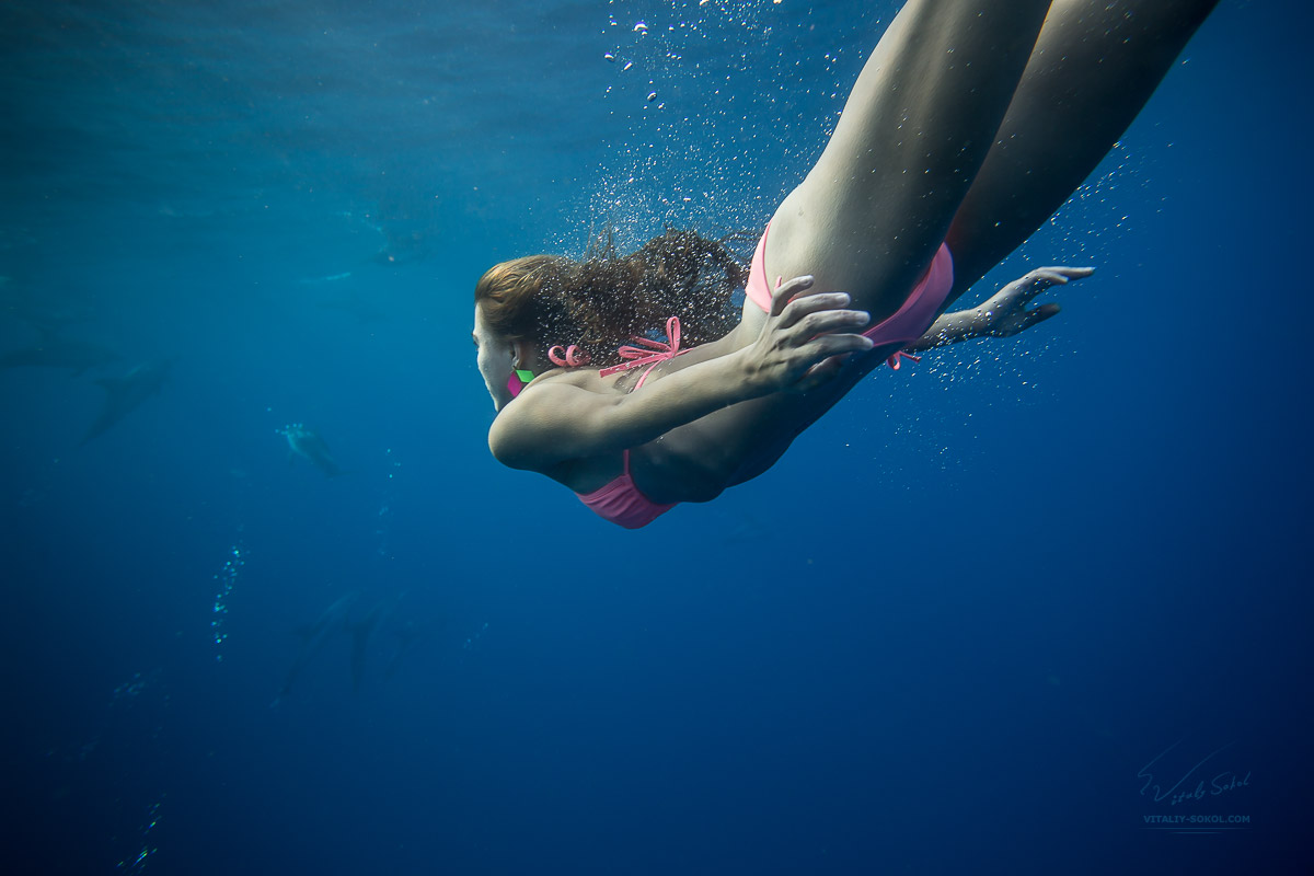 Красивая девушка под водой плавает с дельфинами в атлантическом океане